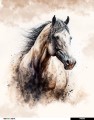 Panel wodoodporny 40x50 - Koń malowany akwarelami na jasno kremowym tle