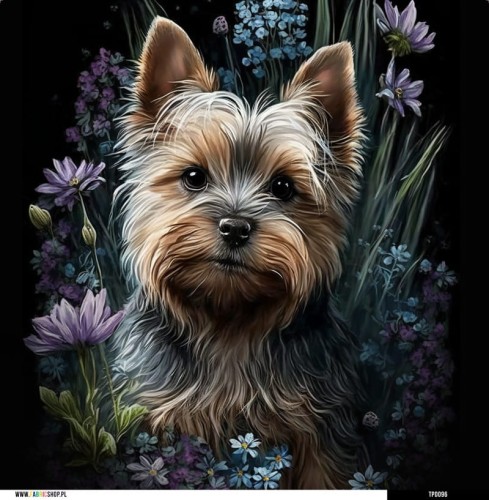 Panel welurowy - poduszka 48x48 - Yorkshire Terrier w kwiatach 