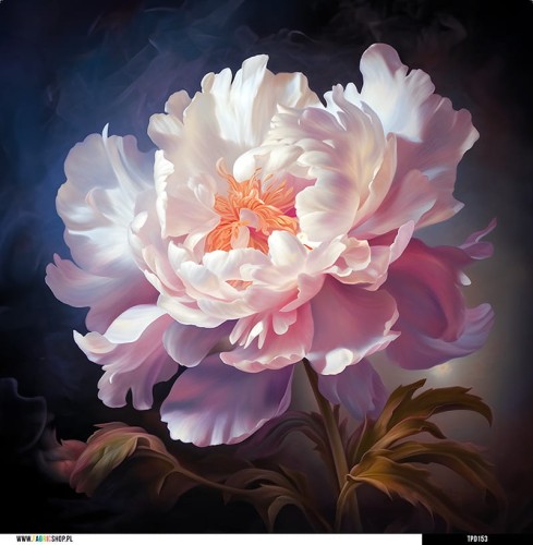 Panel welurowy - poduszka 48x48 - jasna piwonia