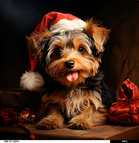 Panel welurowy - poduszka 48x48 - Yorkshire terrier w czapce Mikołaja