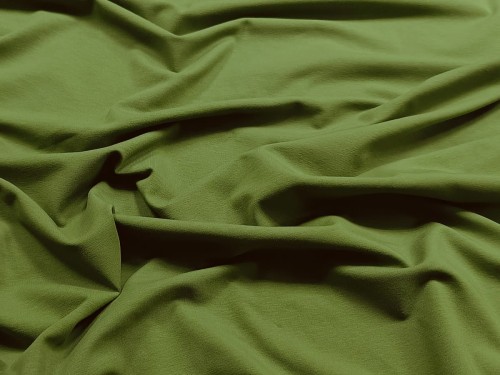 Dzianina jersey bawełniany - zielony (kale)